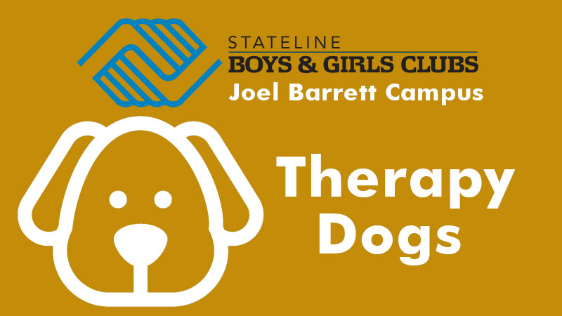 Therapy Dogs | Joel Barrett Campus